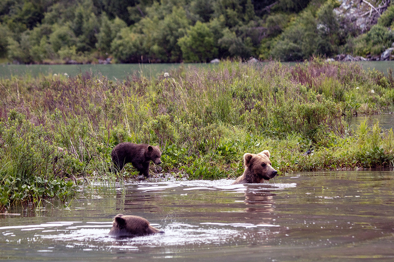 5G7A2677_R1 copy.jpg