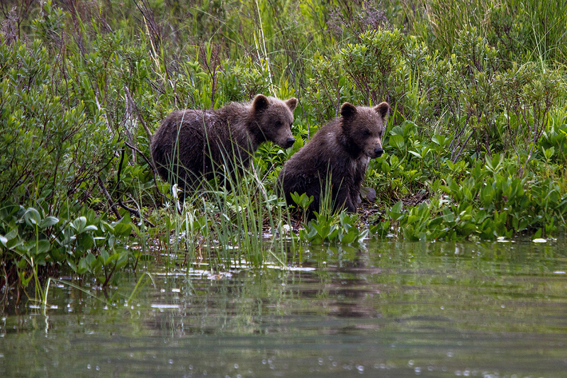 5G7A2693_R1 copy.jpg