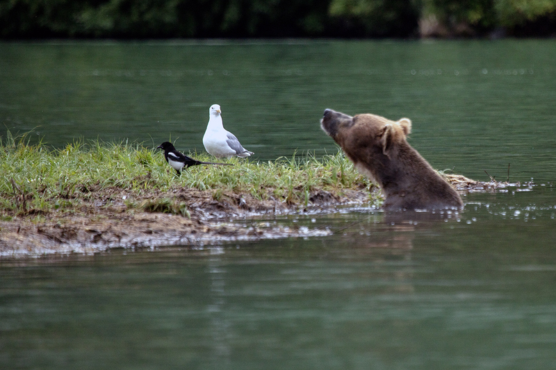 5G7A2705_R1 copy.jpg