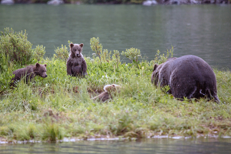 5G7A2722_R1 copy.jpg