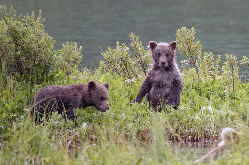 5G7A2725_R1 copy.jpg