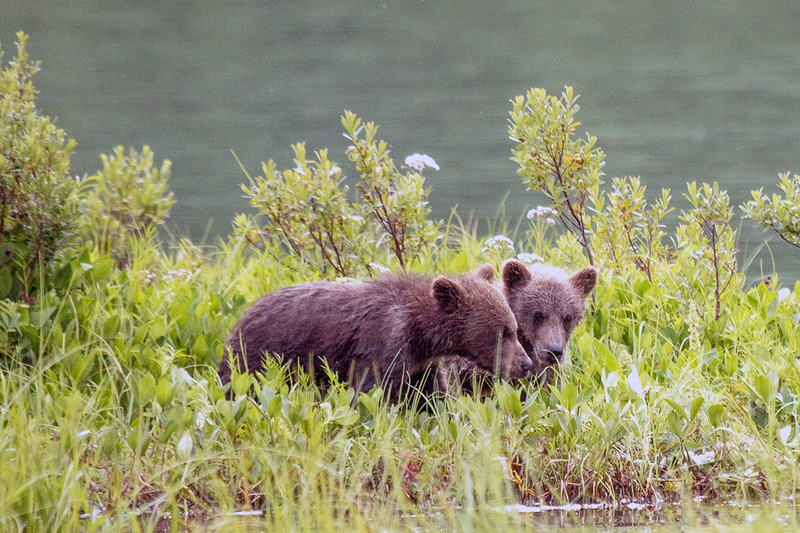 5G7A2728_R1 copy.jpg