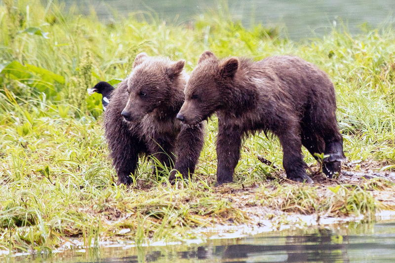 5G7A2746_R1 copy.jpg