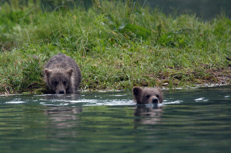 5G7A2754_R1 copy.jpg