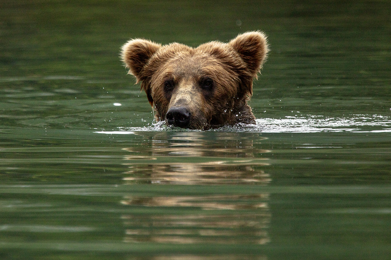 5G7A2757_R1 copy.jpg