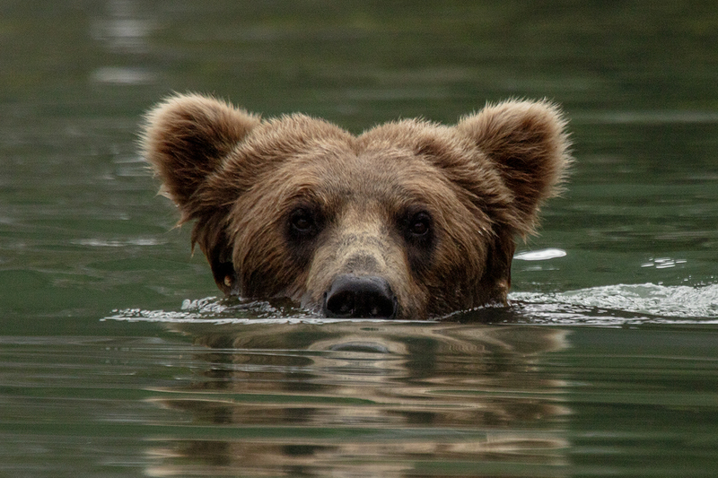 5G7A2760_R1 copy.jpg