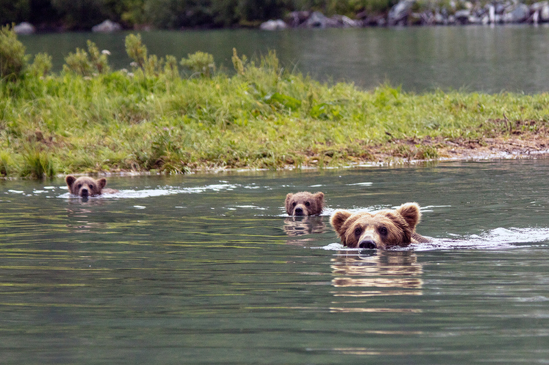 5G7A2766_R1 copy.jpg