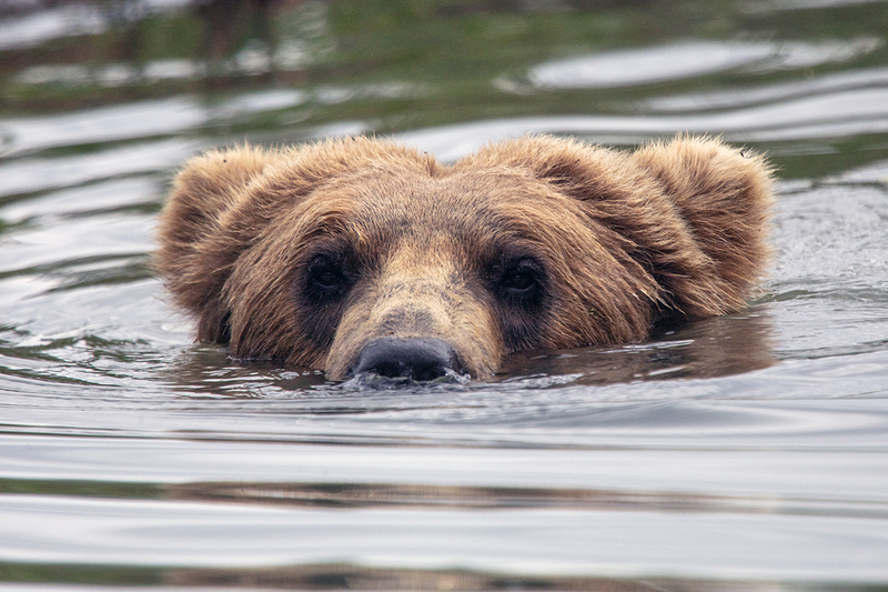 5G7A2776_R1 copy.jpg