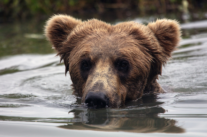 5G7A2781_R1 copy.jpg