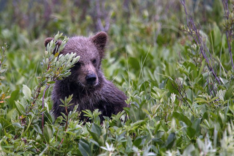 5G7A2803_R1 copy.jpg