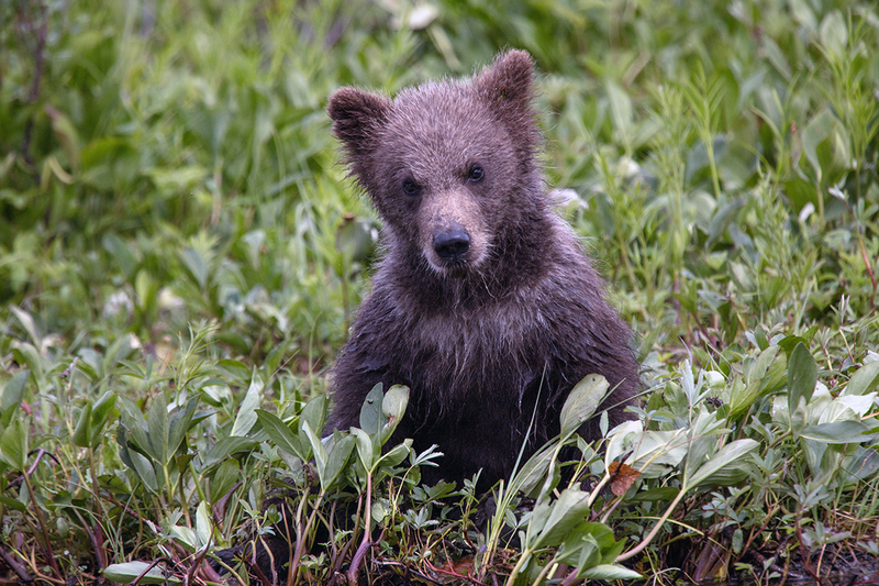 5G7A2836_R1 copy.jpg