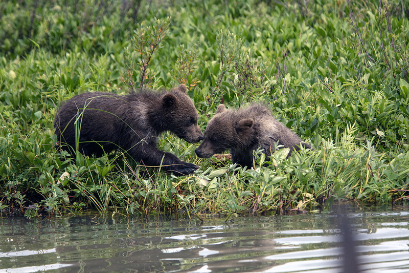 5G7A2846_R1 copy.jpg