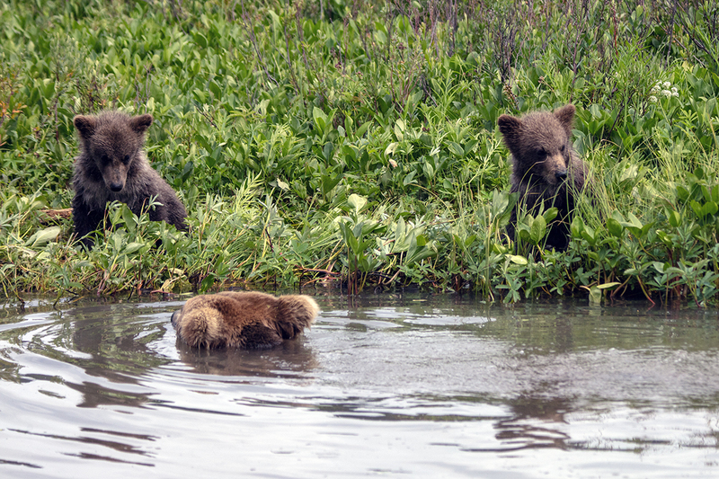 5G7A2858_R1 copy.jpg