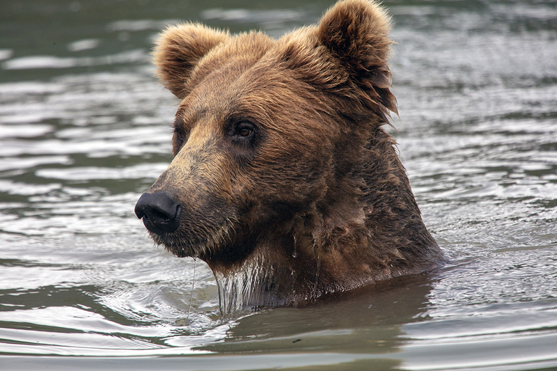 5G7A2867_R1 copy.jpg