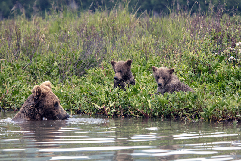 5G7A2872_R1 copy.jpg