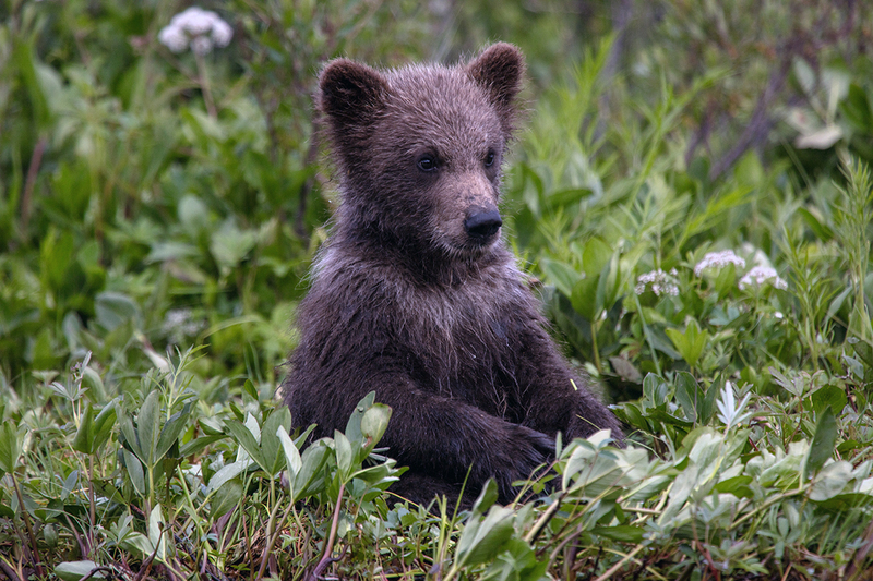 5G7A2894_R1 copy.jpg