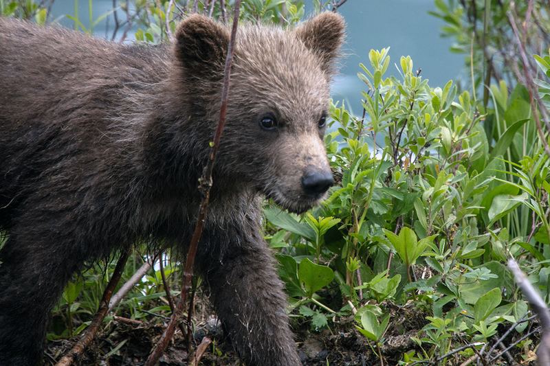 5G7A2923_R1 copy.jpg