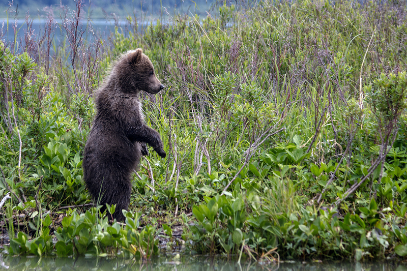 5G7A2932_R1 copy.jpg