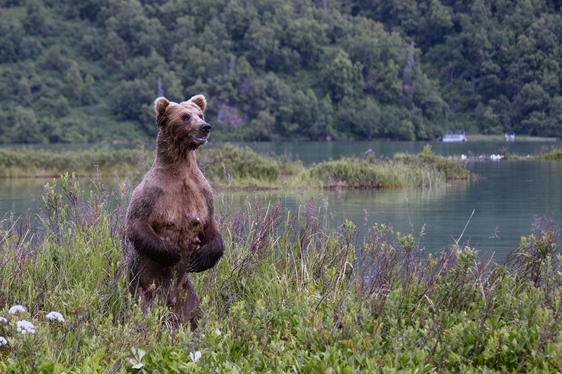 5G7A2944_R1 copy.jpg