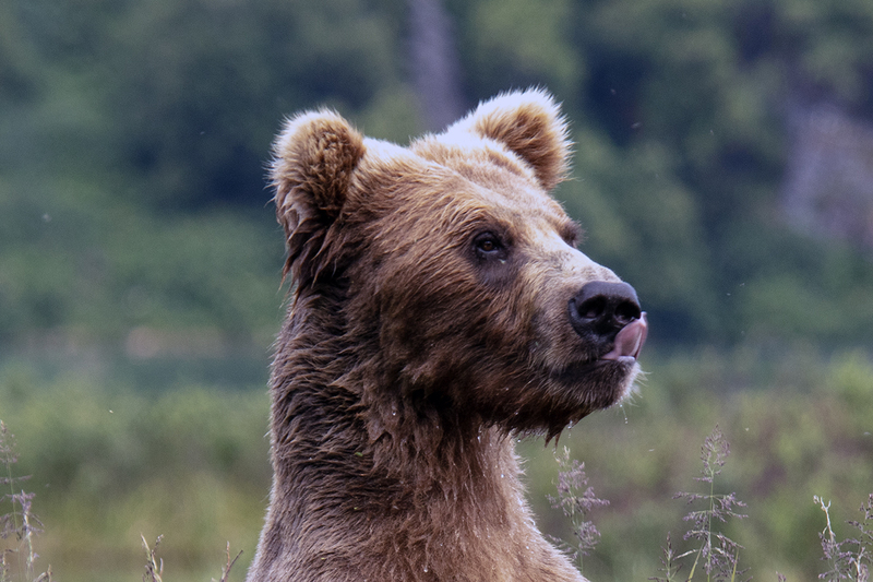 5G7A2948_R1 copy.jpg