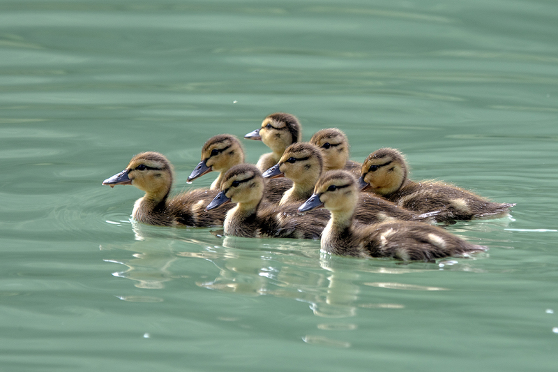 5G7A2983_R1 copy.jpg