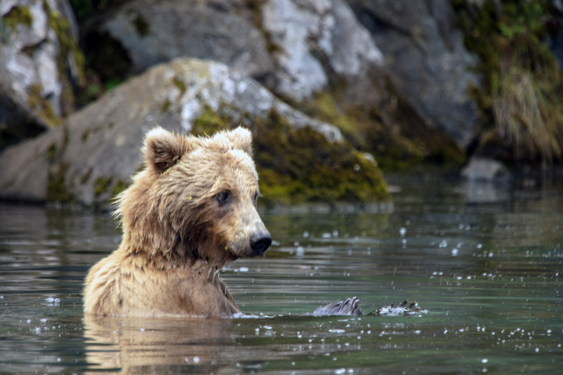 5G7A2994_R1 copy.jpg