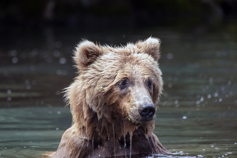 5G7A3001_R1 copy.jpg