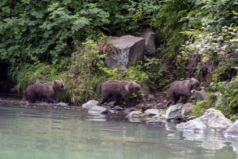 5G7A3065_R1 copy.jpg