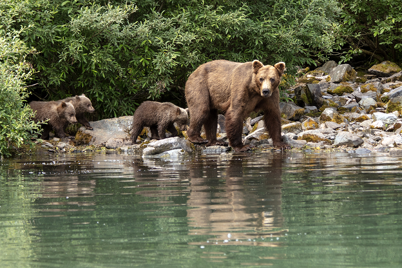 5G7A3076_R1 copy.jpg