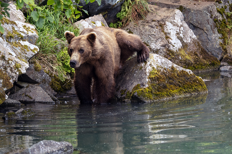 5G7A3142_R1 copy.jpg