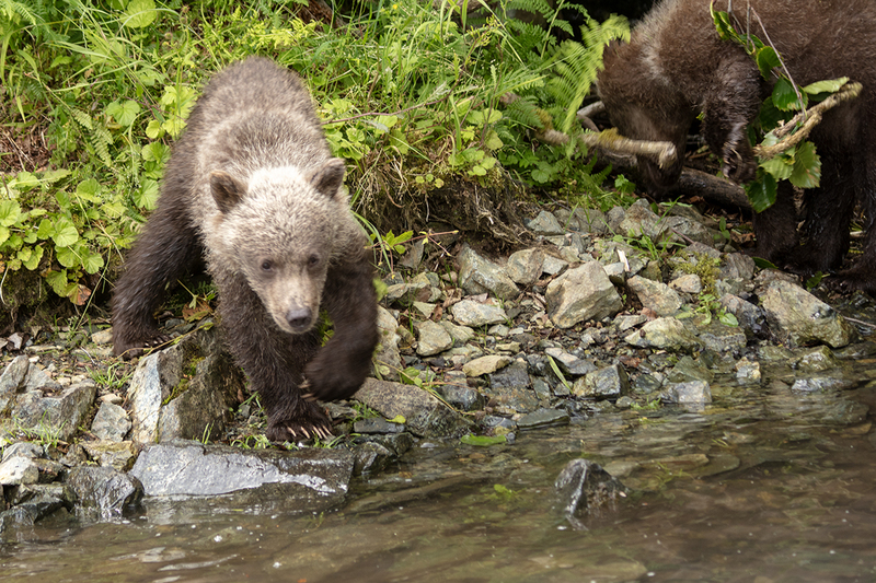 5G7A3178_R1 copy.jpg