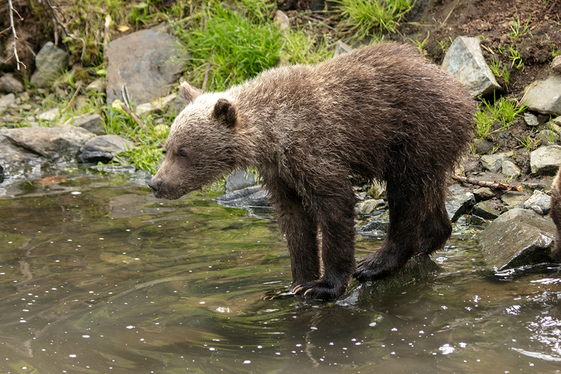 5G7A3195_R1 copy.jpg