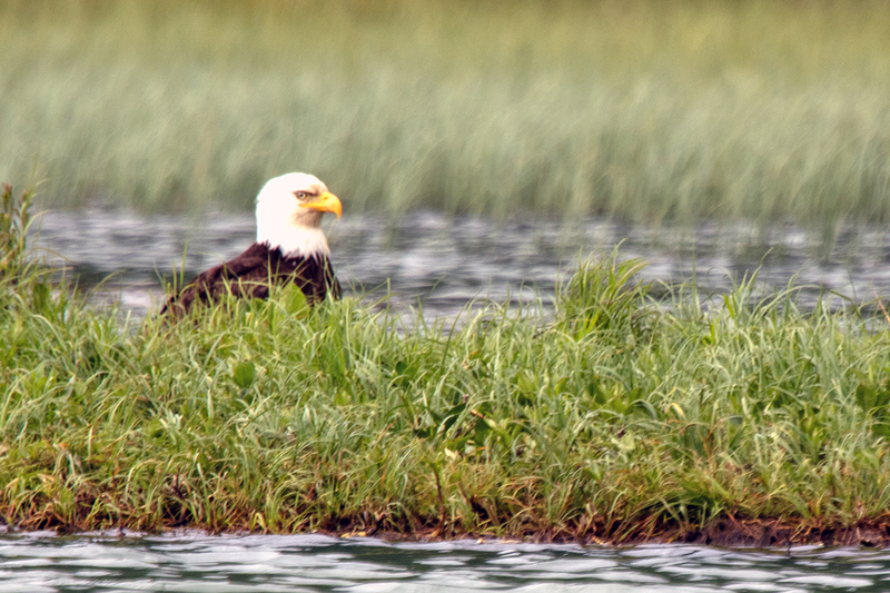 5G7A3227_R1 copy.jpg