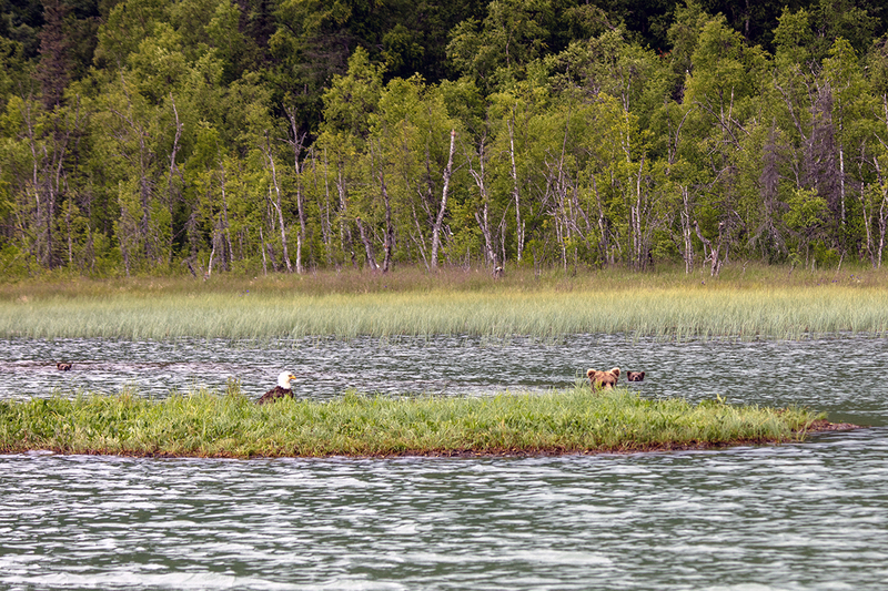 5G7A3233_R1 copy.jpg