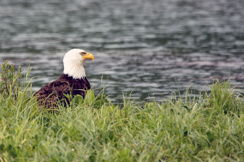 5G7A3239_R1 copy.jpg