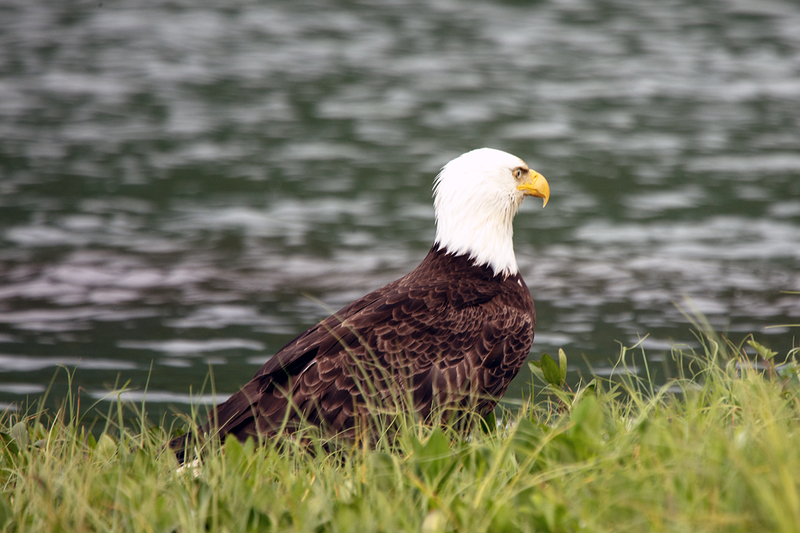 5G7A3263_R1 copy.jpg