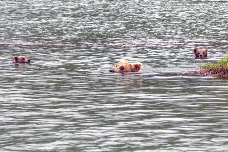 5G7A3277_R1 copy.jpg