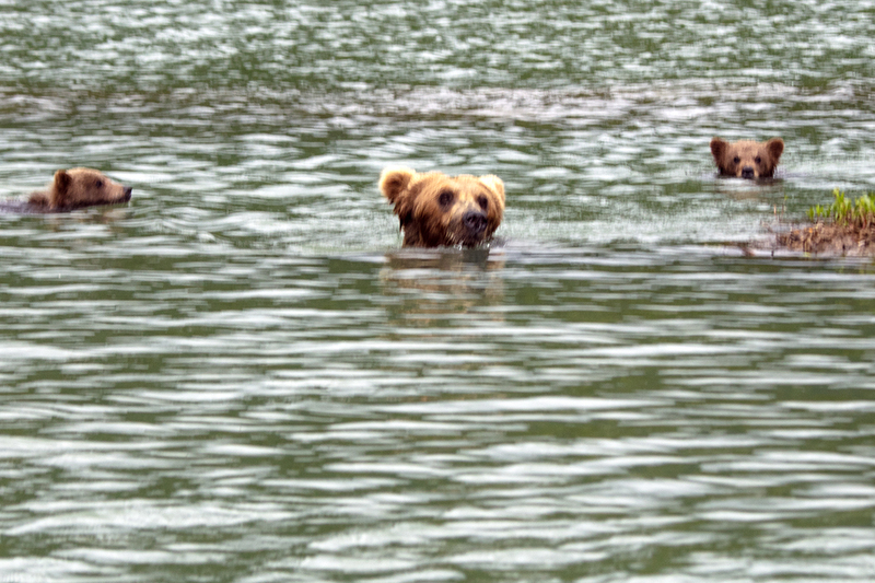 5G7A3281_R1 copy.jpg