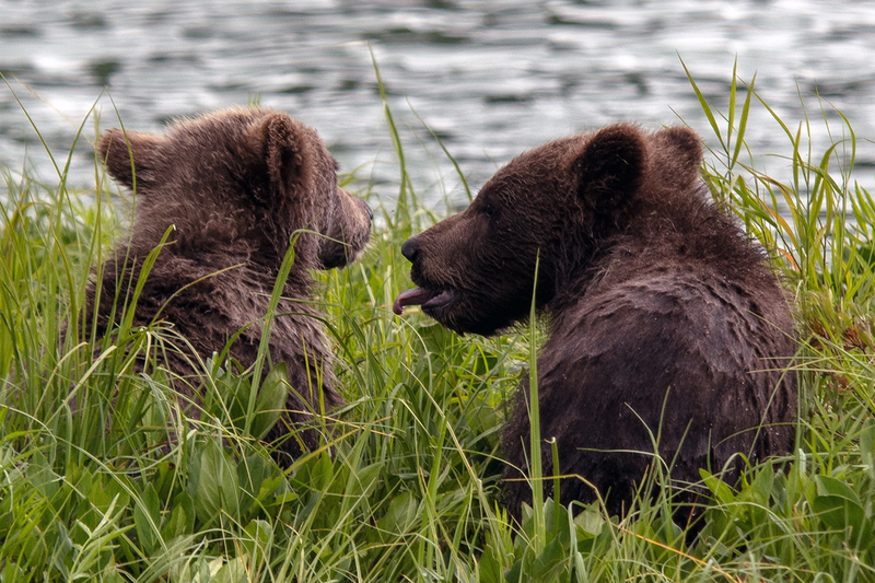 5G7A3285_R1 copy.jpg