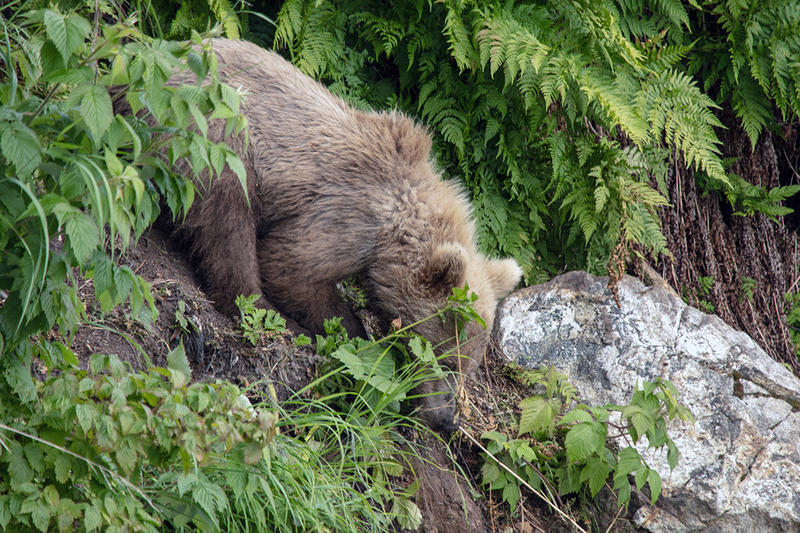 5G7A3306_R1 copy.jpg