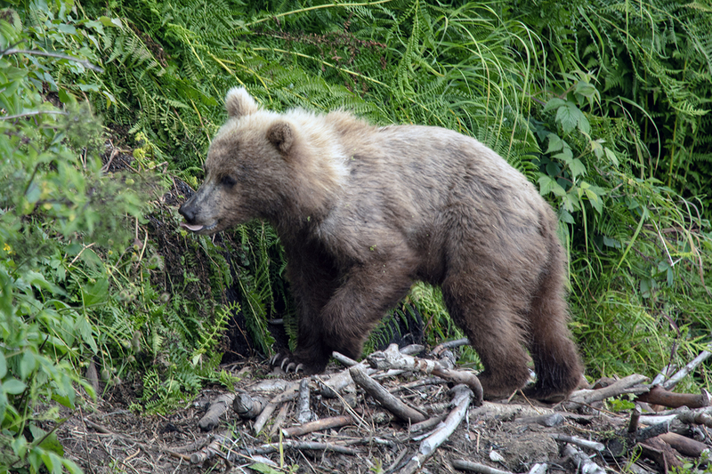 5G7A3314_R1 copy.jpg