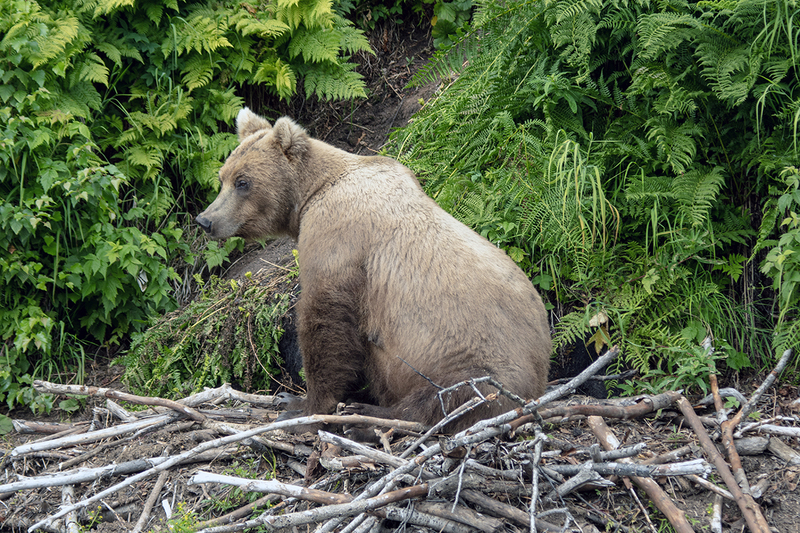 5G7A3356_R1 copy.jpg