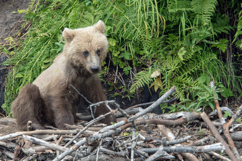 5G7A3371_R1 copy.jpg