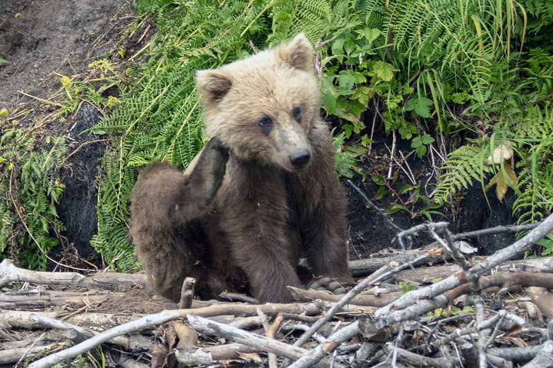 5G7A3376_R1 copy.jpg