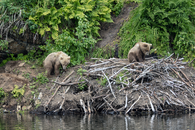 5G7A3391_R1 copy.jpg