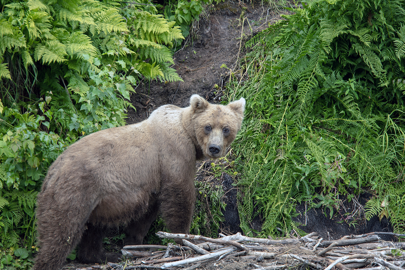 5G7A3414_R1 copy.jpg