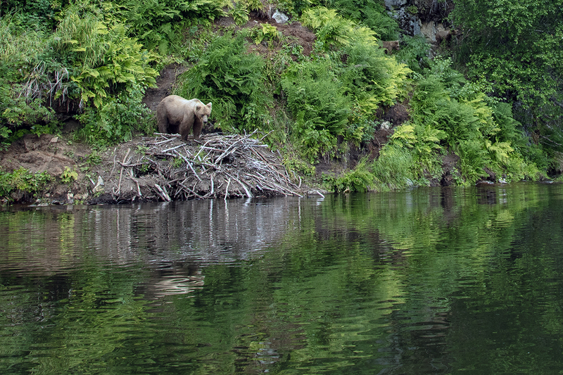 5G7A3424_R1 copy.jpg