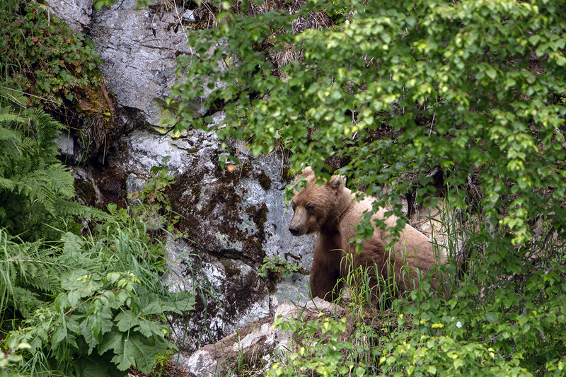 5G7A3436_R1 copy.jpg