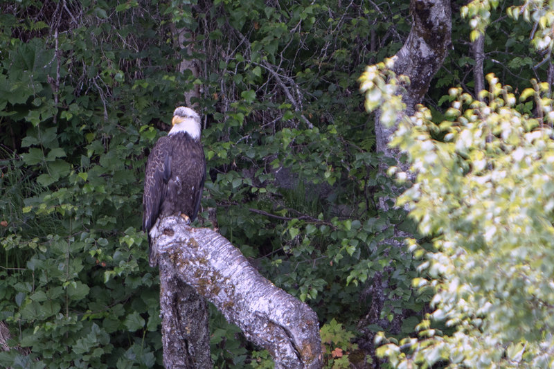 5G7A3552_R1 copy.jpg