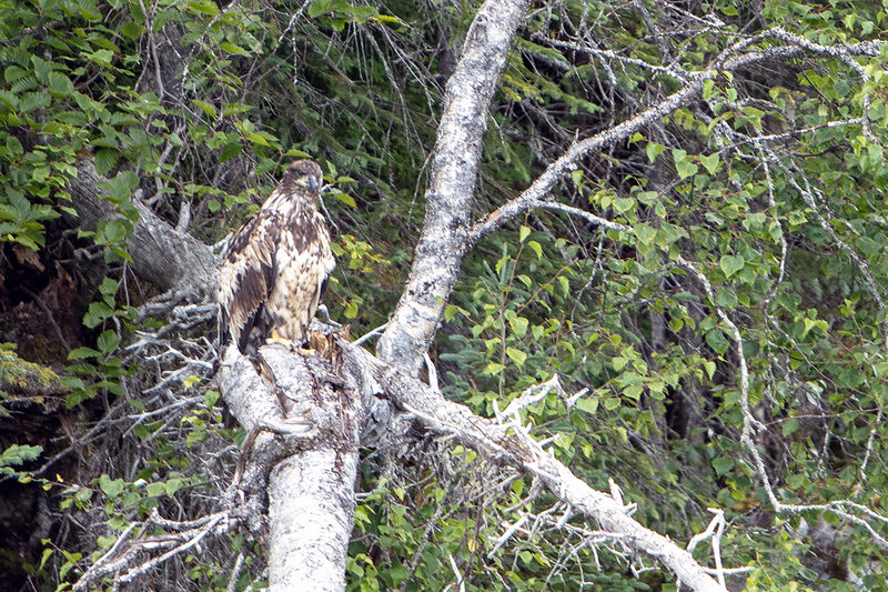 5G7A3560_R1 copy.jpg